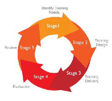 training cycle stages